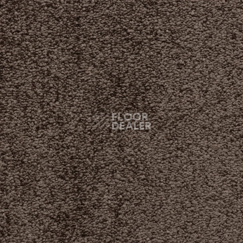 Ковролин Bonkeel Parliament Brown фото 1 | FLOORDEALER